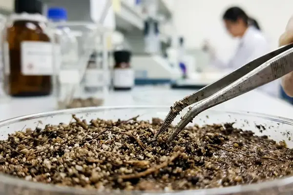 Comparing Plant Genetic Resource Genebanks Across Southeast Asia